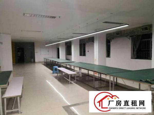  常平原房东厂房780平二楼五楼新空出