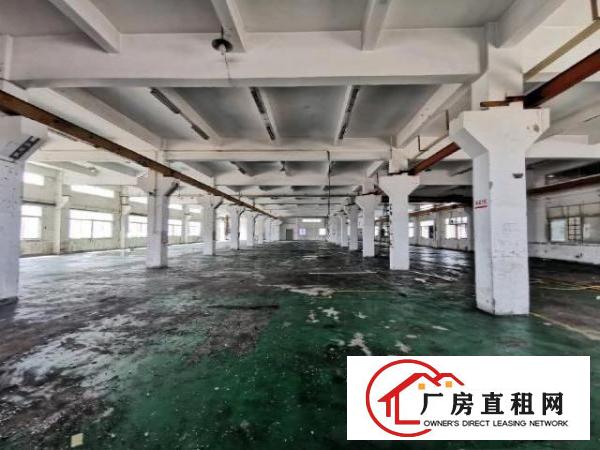  常平镇桥沥常黄路附近独院标准厂房大小可分租