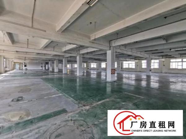  常平镇桥沥常黄路附近独院标准厂房大小可分租