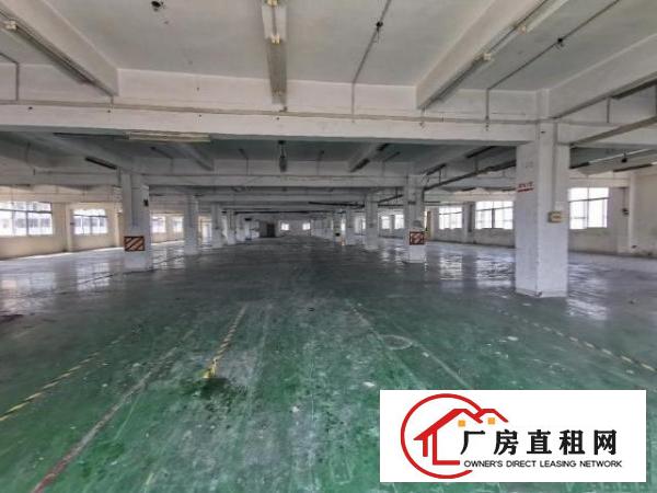 常平镇桥沥常黄路附近独院标准厂房大小可分租