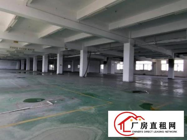  常平镇桥沥常黄路附近独院标准厂房大小可分租