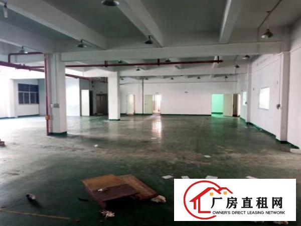  出租常平镇横江厦350平方厂房，精装修水电齐全，价格便宜