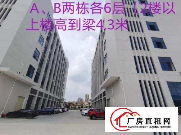  2019年底竣工的全新厂房，环境优美