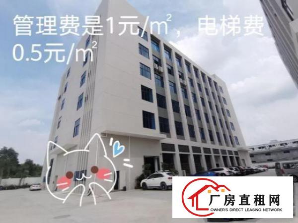  2019年底竣工的全新厂房，环境优美