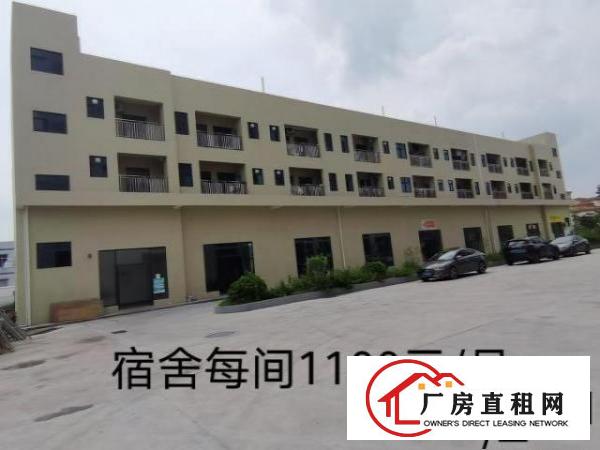  2019年底竣工的全新厂房，环境优美