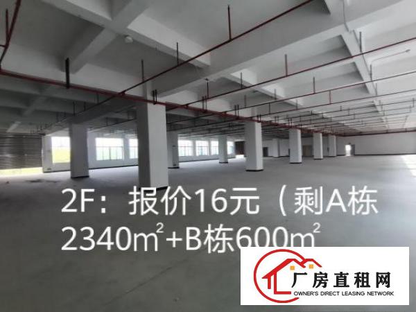  2019年底竣工的全新厂房，环境优美