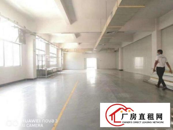  房东招租，袁山贝标准厂房650方精装厂房，隔好办公室水电齐