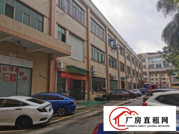  工业园500至3000方标准一楼，高度7米带消防喷淋