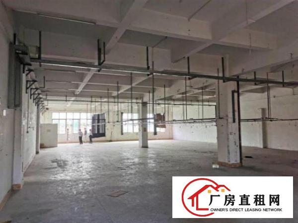  工业园500至3000方标准一楼，高度7米带消防喷淋