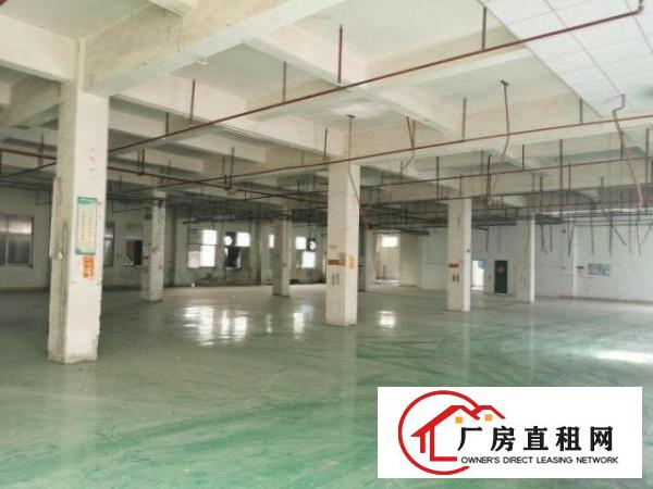  工业园500至3000方标准一楼，高度7米带消防喷淋