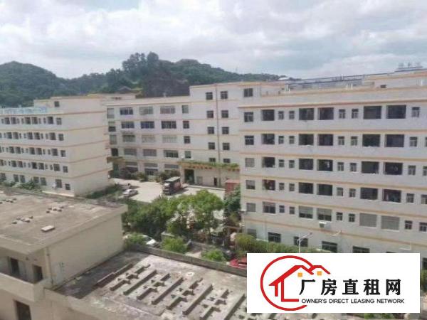  临深楼上无尘车间1150方，带办公室，无转让费