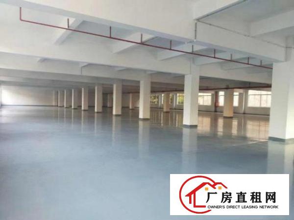  原房东厂房二楼出租，带办公室宿舍，空地大，带环评