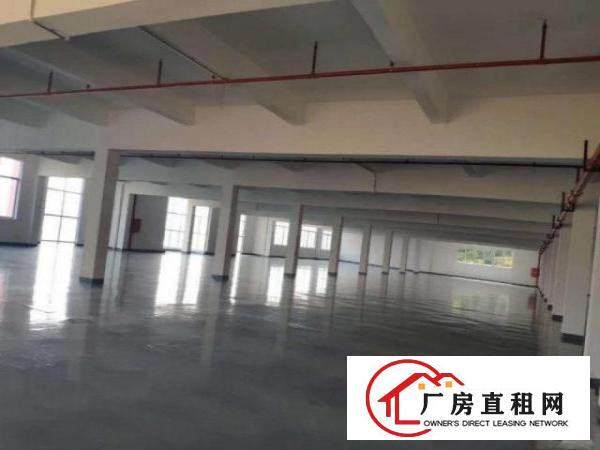  原房东厂房二楼出租，带办公室宿舍，空地大，带环评