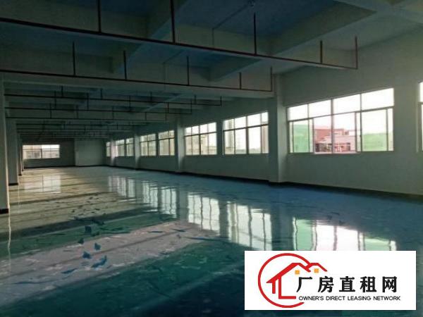  出租常平镇袁山贝310平方全新装修带水电交通方便