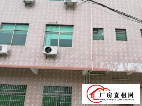  桥沥北门独栋(电梯)240平厂房仓库办公室