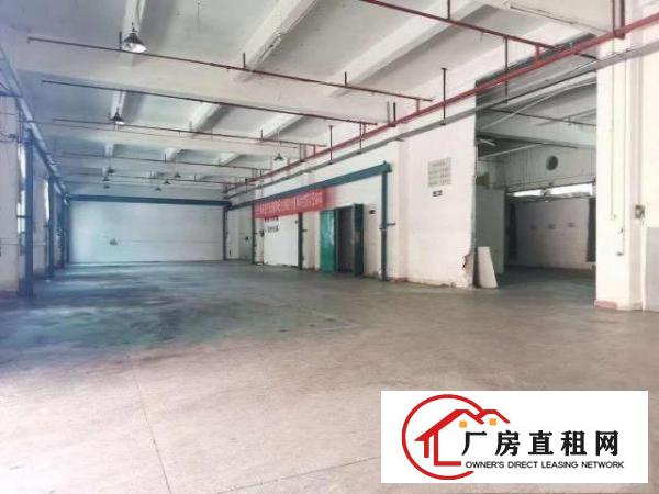  常平镇成熟工业区原房东独院总面积5600平，可分租