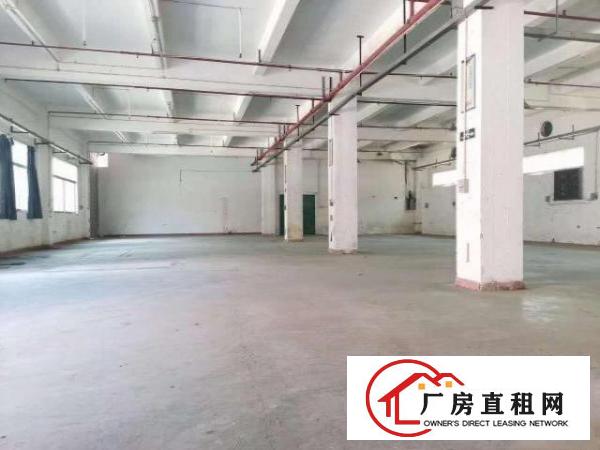  常平镇成熟工业区原房东独院总面积5600平，可分租
