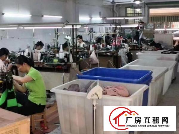  转租苏坑独栋厂房800方