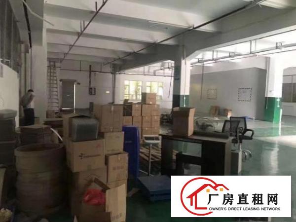  个人转租金美一楼1200方标准厂房