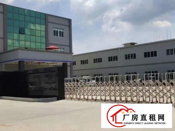  出租原房东独院标准小厂房一楼面积500平