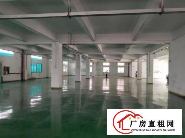  出租原房东独院标准小厂房一楼面积500平