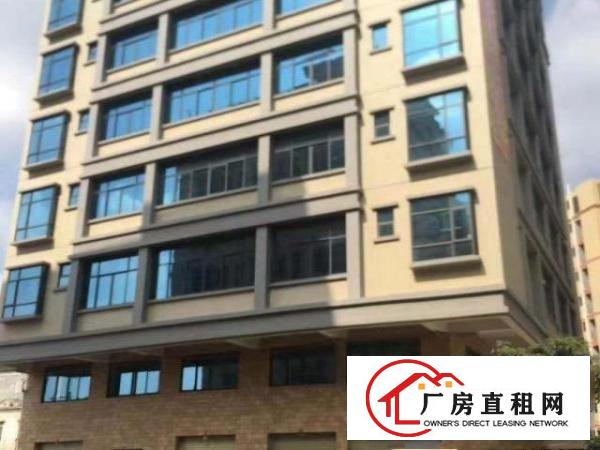  【房东直租】位于常平镇袁山贝崩江一巷6号