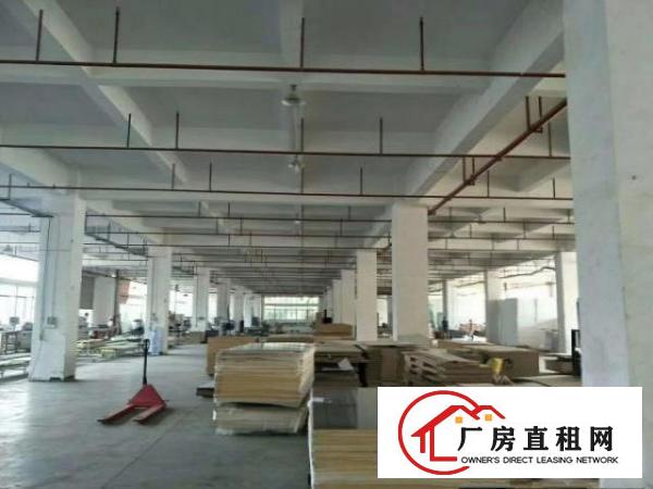  常平原房东独院厂9829招租可分租
