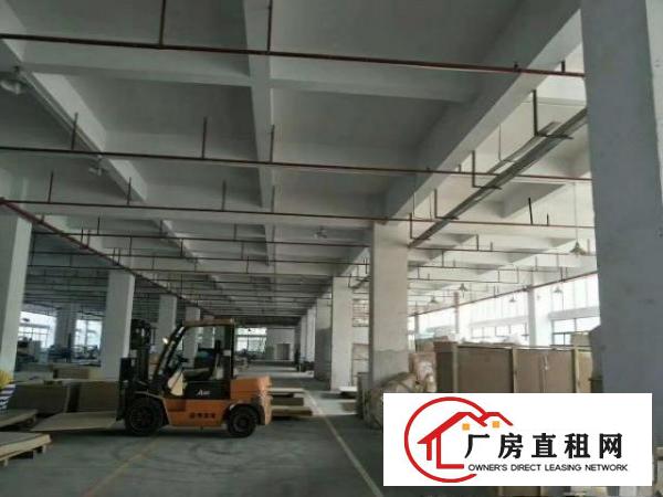  常平原房东独院厂9829招租可分租