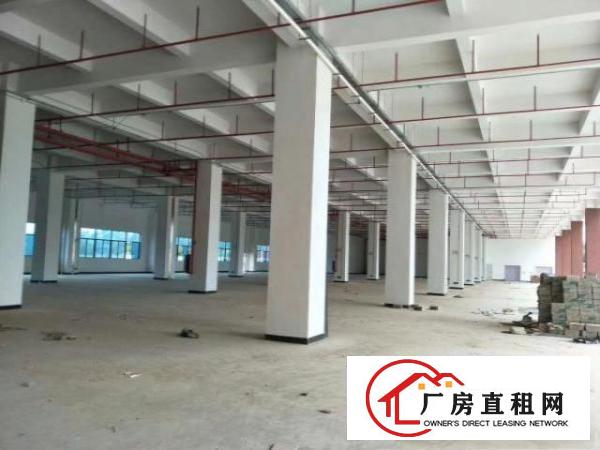  常平镇，新建厂房13500平方可整租分租