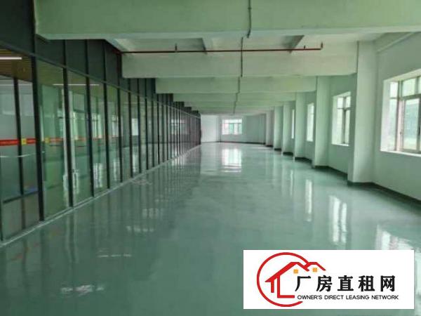  常平原房东楼上厂房实际面积出租可分租
