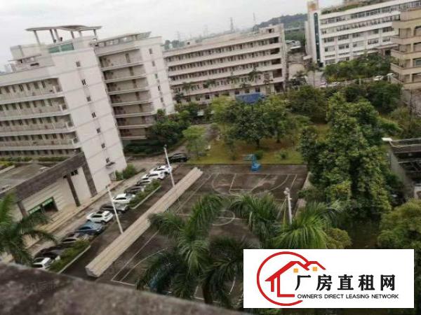  东莞市常平镇现隆重上市11800平方超靓厂房