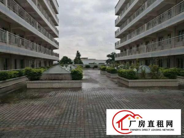  东莞市常平镇现隆重上市11800平方超靓厂房