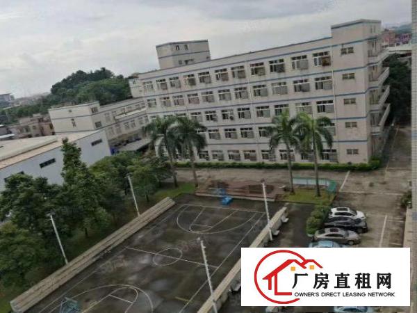  东莞市常平镇现隆重上市11800平方超靓厂房