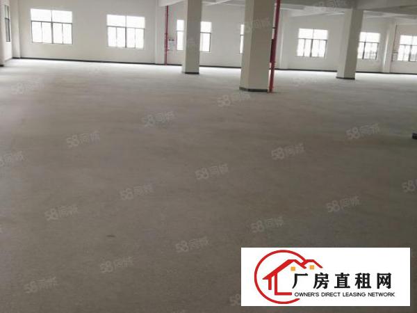  东莞市常平镇现隆重上市11800平方超靓厂房