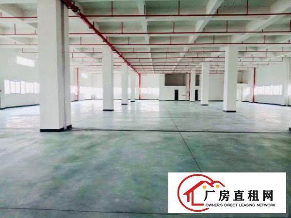  常平横江厦精装花园式小独院2000平方招租，可做电子