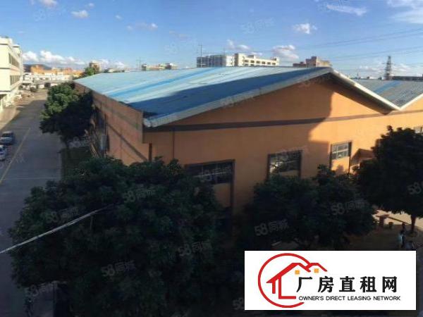  常平土塘独院标准厂房单层1700平（大小可以分租）