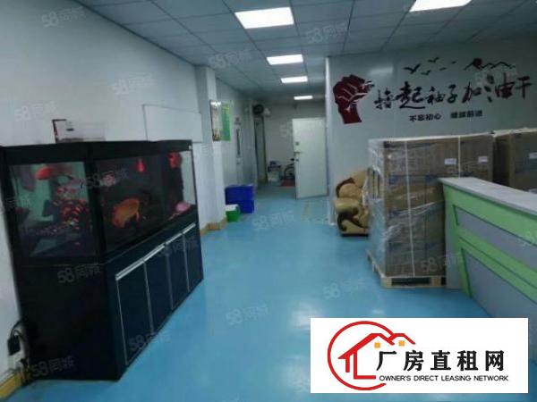  八成新标准独院厂房3层3300平方，工业集聚地，水电线路齐全