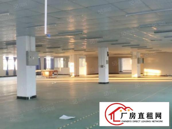  原房东实际面积出租一楼6.8米高，带牛角消防喷淋，现成环评