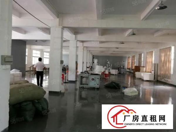  常平新出原房东独门独院标准厂房，工业用地，适合各行各业