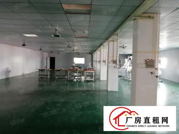  常平新出原房东独门独院标准厂房，工业用地，适合各行各业