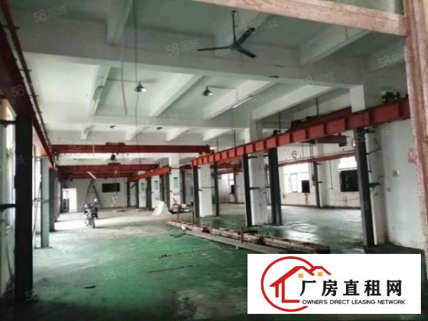  东莞市常平镇新空出2700平方厂房招租