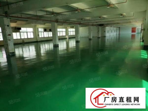  常平桥沥一二楼厂房出租精装可分租