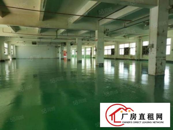  常平桥沥一二楼厂房出租精装可分租