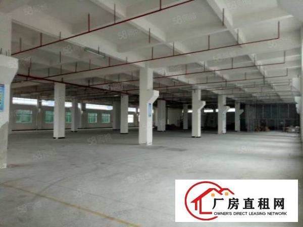  独门独院4000平方楼房待租。