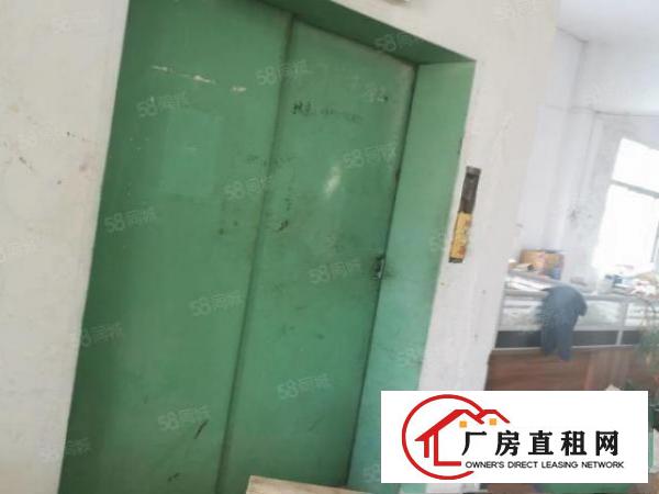  常平袁山贝新出13元小独院工业用地带现成办公室水电齐全