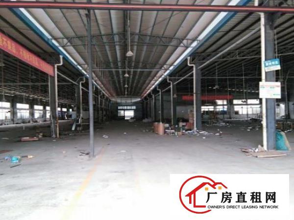  东莞市常平镇独门独院厂房