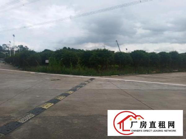  东莞市常平镇独门独院厂房