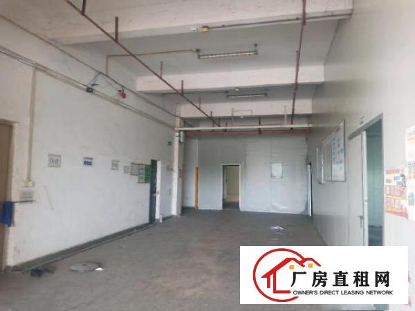  东莞市常平镇独门独院厂房
