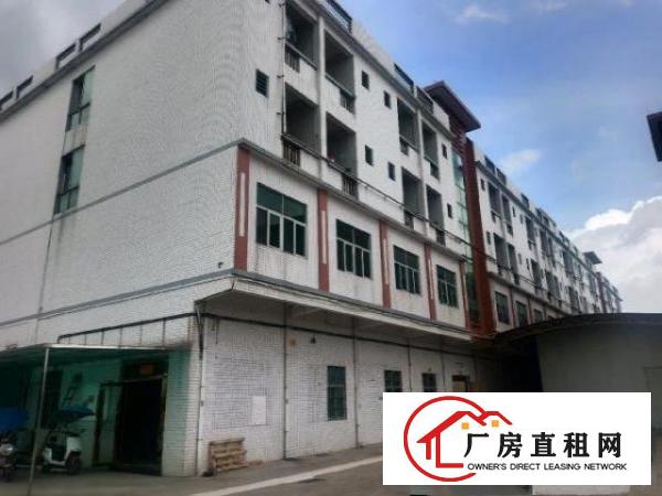  东莞市常平镇独门独院厂房