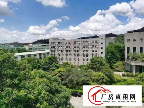  东莞常平厂房租赁